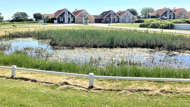 Un quartier résidentiel avec des maisons, un étang et une clôture blanche.