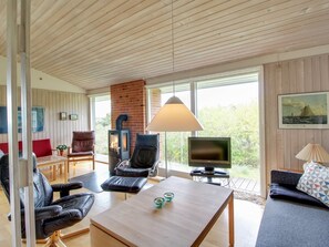 TV, fireplace, DVD player