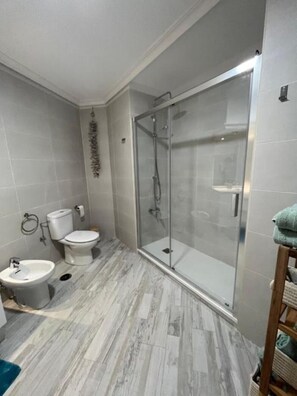 Regadera, secadora de cabello, bidet, toallas 
