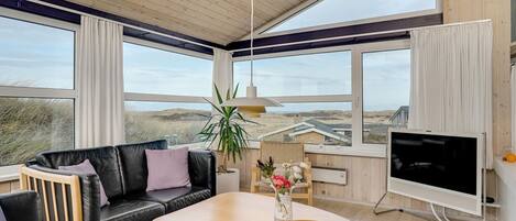 TV, fireplace, DVD player