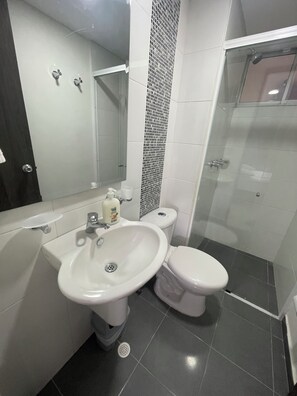 Shower, towels, toilet paper