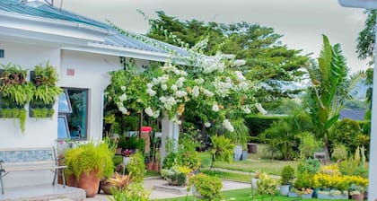 Newly completed cozy hideaway between airport and city centre. Amazing garden!