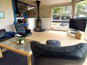 TV, fireplace, DVD player