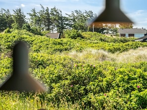 A lush green landscape with a house in the background.