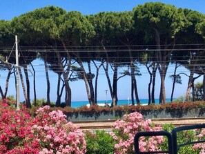 Property grounds - Residence Holiday Rendez Vous apartment11 seafront (Pineto)