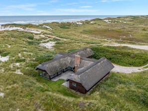 Ein Küstenhaus mit einem Reetdach, umgeben von Dünen und Grasland.