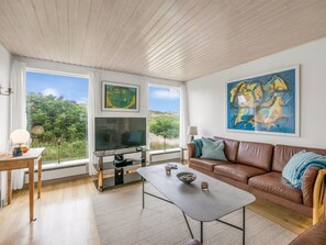 Fernseher, Kamin, DVD-Player