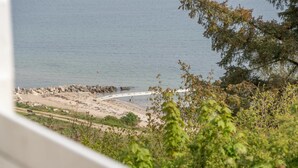Vista costera con playa arenosa, un muelle y abundante vegetación.