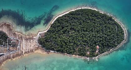 New vacation home with 2 terraces, right by the sea - a dream surrounded by forest