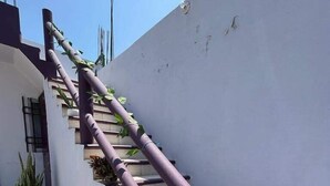 Eine Treppe mit violetten Geländern und weißen Stufen, umgeben von Topfpflanzen.