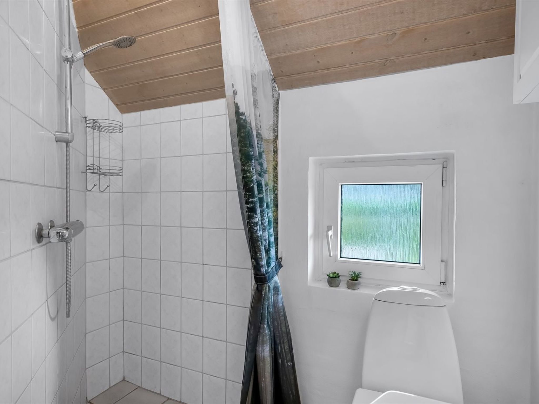 Ein Badezimmer mit Dusche, einem Fenster mit Blick und einer kleinen Pflanze auf der Fensterbank.