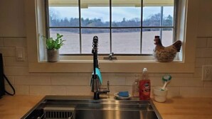 Een keuken met een roestvrijstalen spoelbak, een raam met uitzicht op een waterlichaam, een potplant en een kip die op de vensterbank zit.