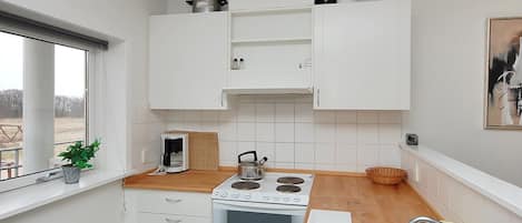 Fridge, oven, cookware/dishes/utensils
