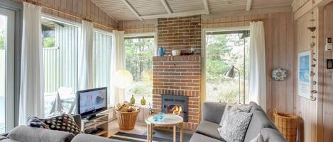 TV, fireplace, DVD player