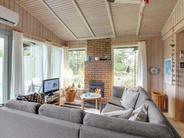 Televisión, chimenea y reproductor de DVD 