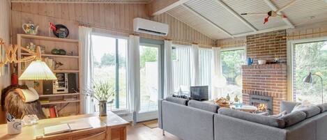 Fernseher, Kamin, DVD-Player