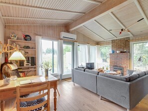 Televisión, chimenea y reproductor de DVD 