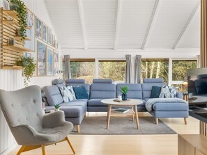 TV, fireplace, DVD player