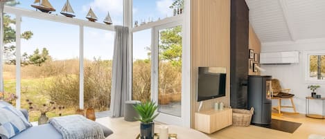 電視、壁爐、DVD 播放機