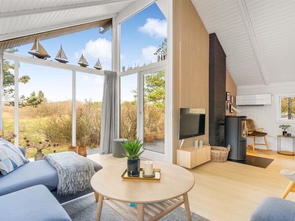 TV, fireplace, DVD player