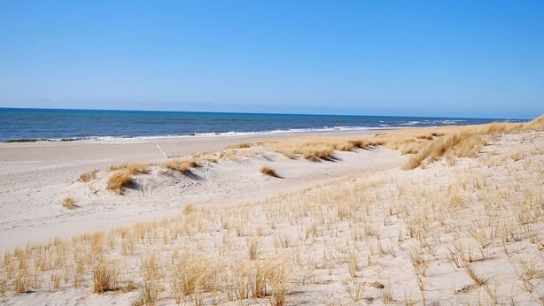 A beach with sand dunes and a clear blue sky. - "Hildegart" -  from the sea by Interhome (Hvide Sande)