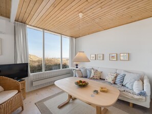 TV, fireplace, DVD player