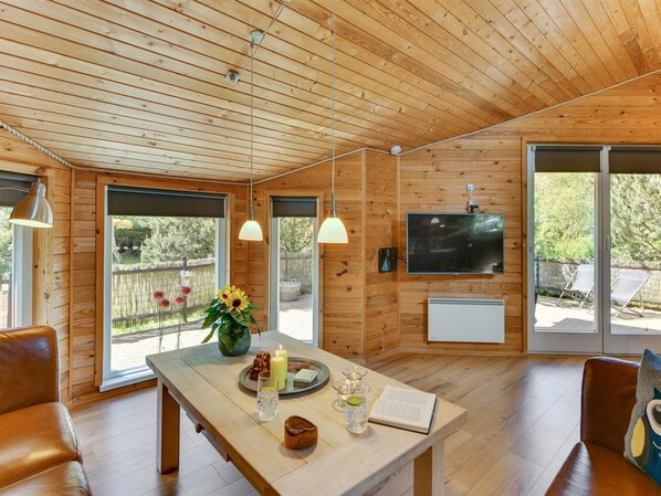 TV, fireplace, DVD player