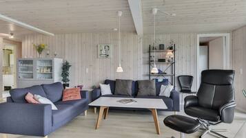 Télévision, cheminée, lecteur de DVD