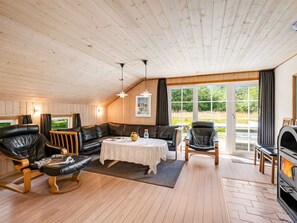 TV, fireplace, DVD player