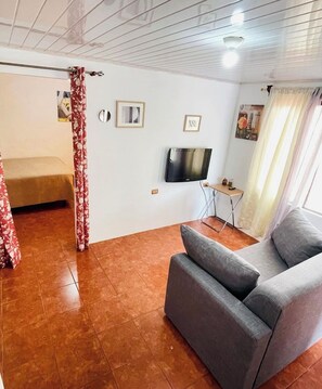 Un salon avec un canapé gris, un lit avec des rideaux à motifs floraux, un téléviseur et une petite table avec une télécommande.