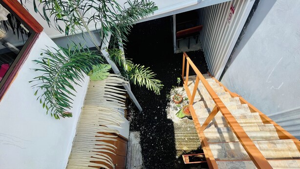 A balcony with a wooden ladder, potted plants, and a view of the street below.