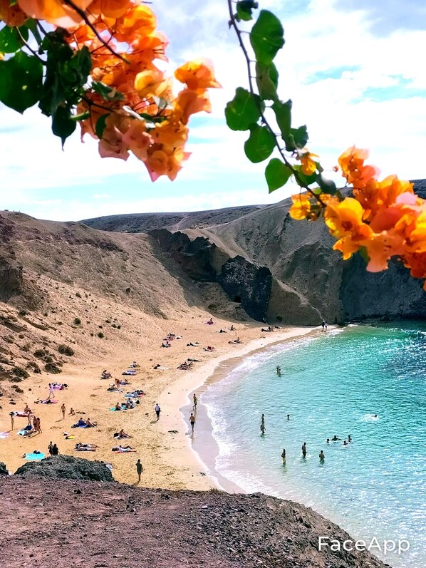 Beach nearby, sun loungers, beach towels