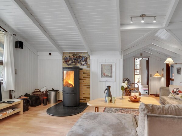 TV, fireplace, DVD player