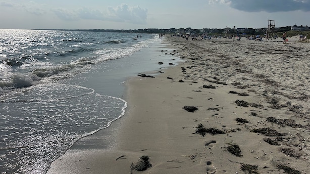 Une plage avec des vagues, des gens et des bâtiments en arrière-plan.