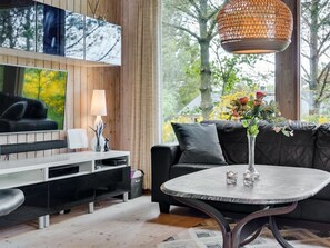 Tv, pejs, dvd-afspiller