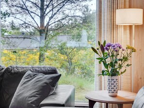 Tv, pejs, dvd-afspiller