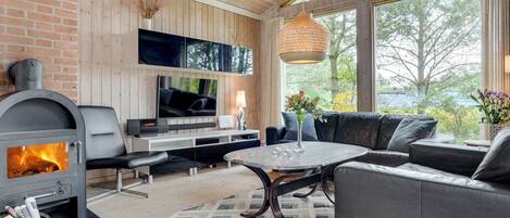 Fernseher, Kamin, DVD-Player