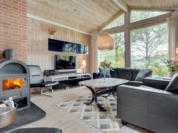 Tv, pejs, dvd-afspiller