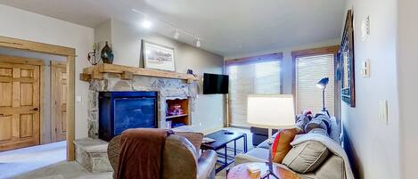 TV, fireplace, DVD player, books