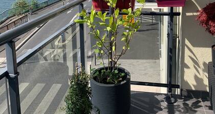 TrĂšs bel appartement centre ville vue exceptionnelle sur la seine