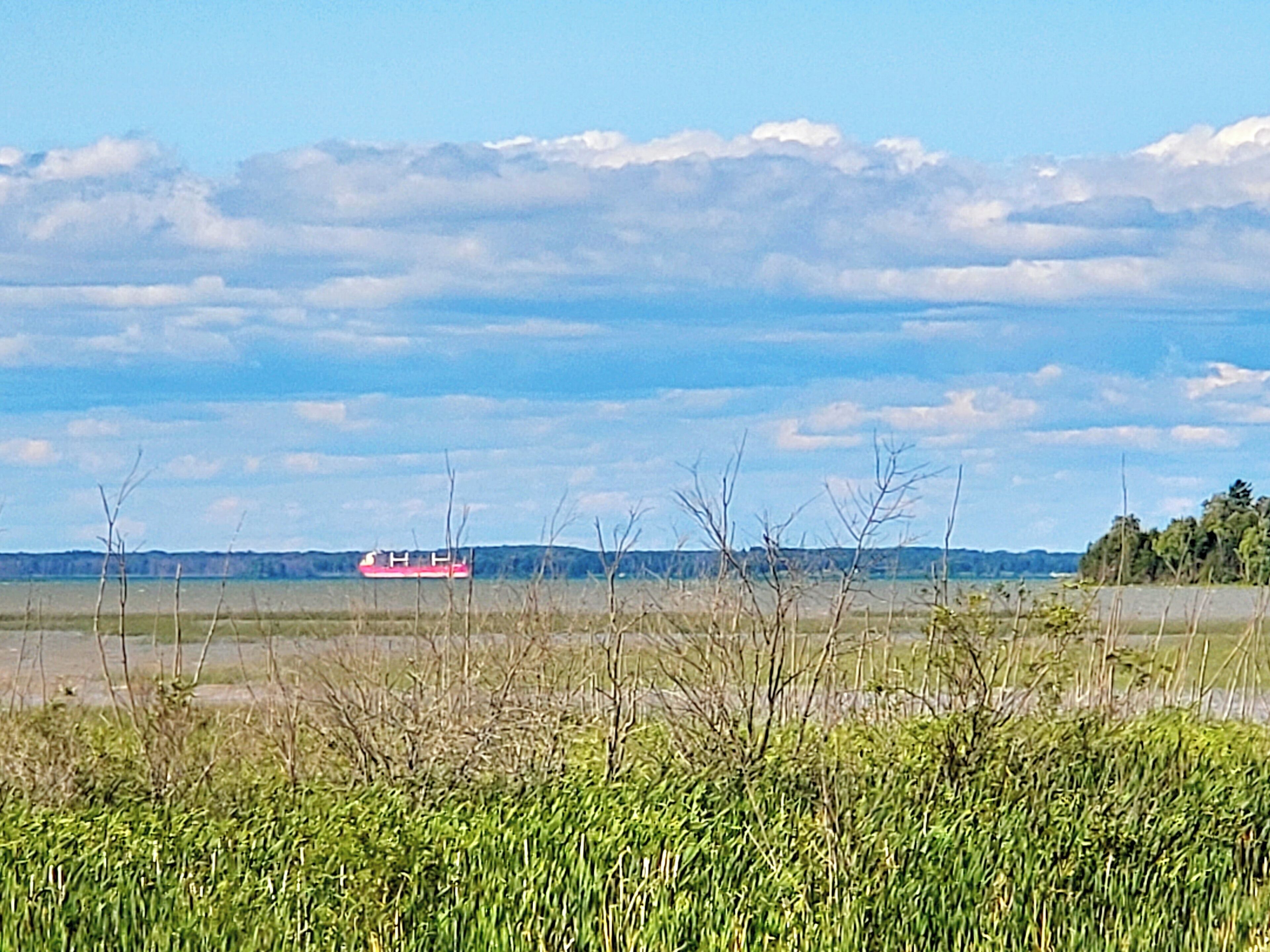 A river with a red boat in the distance, surrounded by grassy areas and trees.
