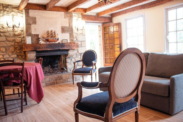 Smart TV, fireplace, books