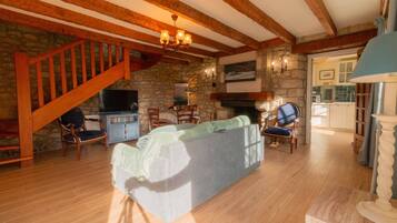 TV connectée, cheminée, livres