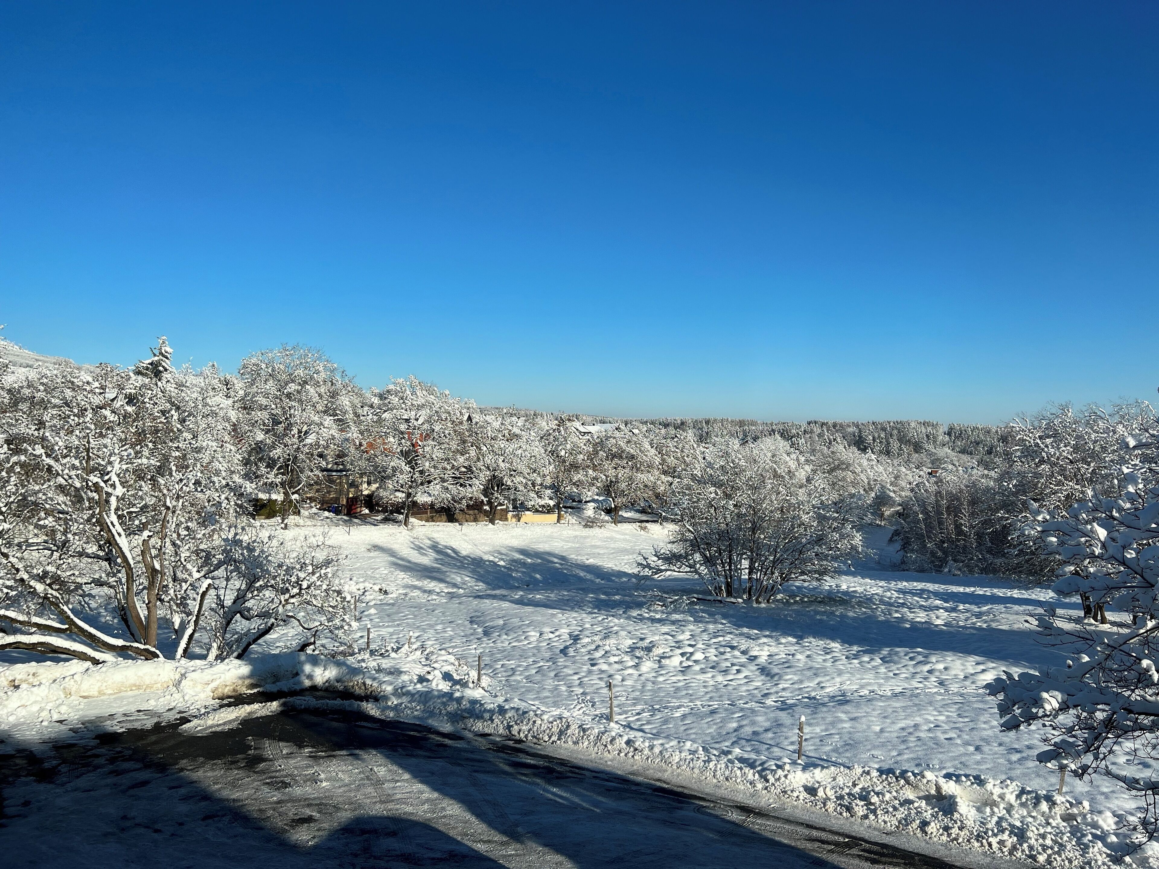 Ett snötäckt landskap med träd och en klarblå himmel.