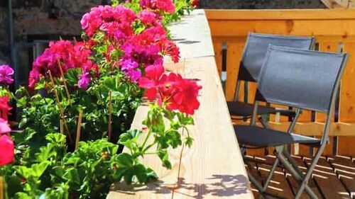 Luxury vacation apartment for families with friends or grandparents, dogs also welcome