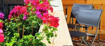 Luxury vacation apartment for families with friends or grandparents, dogs also welcome