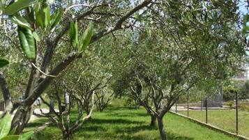 Departamento | Áreas de la propiedad