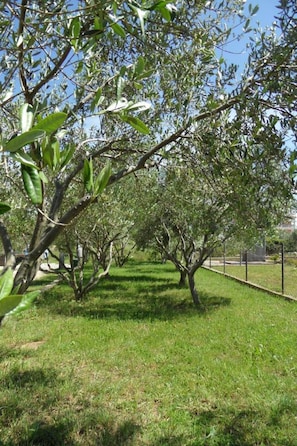 Apartment | Property grounds