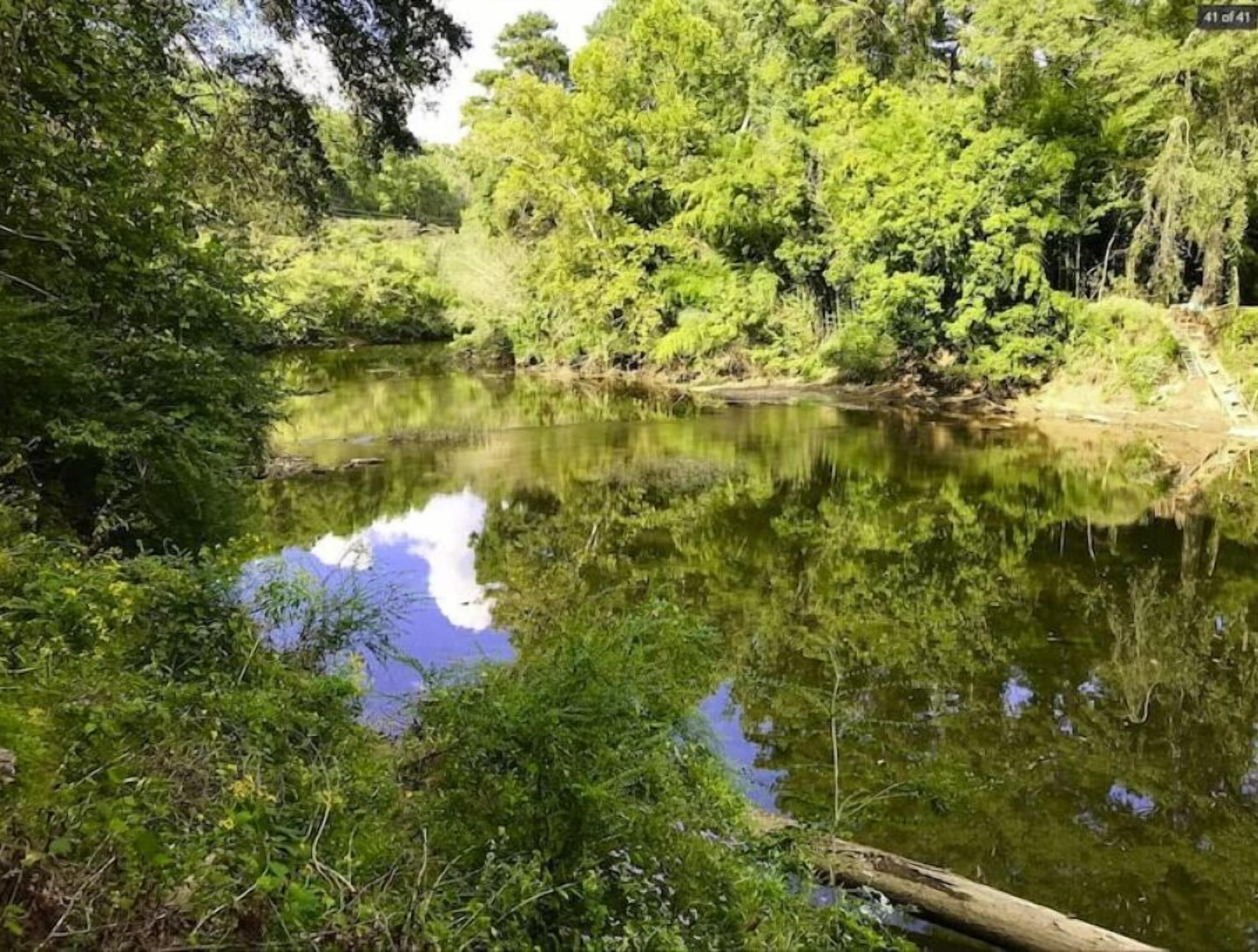 A serene river surrounded by dense greenery.