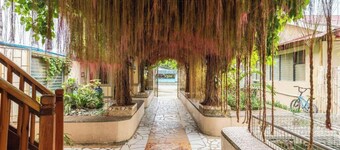 Iloilo Paraw Beach Resort